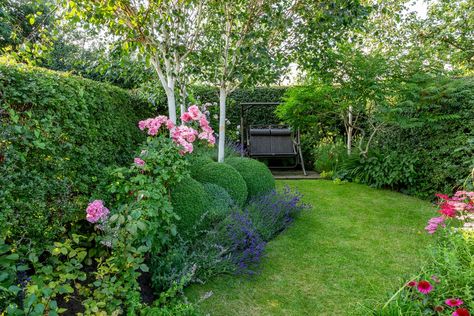 Cottage Garden Evergreen Plants, Large Evergreen Shrubs, English Garden Shrubs, Evergreen Borders, Shrubs For Borders, Small Evergreen Shrubs, Evergreen Hedge, Seaside Garden, Evergreen Garden