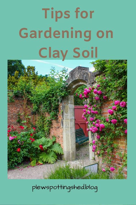 Clay soil gardens have the potential to be one of the most productive gardens for vegetables, fruit and ornamentals. Click for tips on turning clay into rich soil and lists of shrubs and vegetables you can grow Healthy Soil, Earthworms, Clay Soil, Gardening Advice, Soil Improvement, Soil Health, Top Soil, Plant Needs, Potting Soil