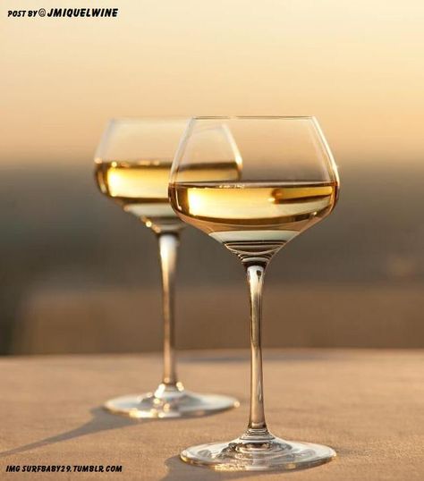 “#Wine is earth’s answer to the sun” ― Margaret Fuller Wine Photography, Wine Art, Wine O Clock, Vermouth, Wine Time, Wine Making, Fine Wine, Wine Drinks, Wine And Spirits