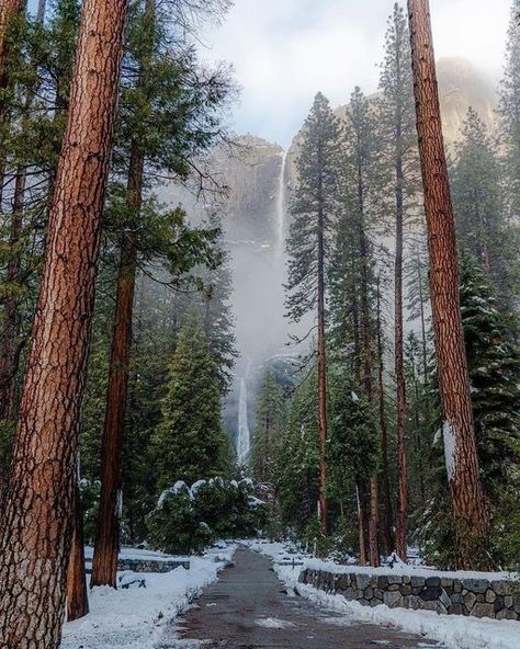 Adventure Enthusiasts on Instagram: "Yosemite! 📸: @igtiago #adventurenthusiasts - - - - #yosemite #yosemitenationalpark #nps #yosemitevalley #nationalpark #nationalparks #nationalparkservice #nationalparkgeek #outdoors" Yosemite Winter, Yosemite Photos, California Roadtrip, Yosemite Falls, Yosemite Valley, John Muir, Yosemite National, Yosemite National Park, Nature Aesthetic