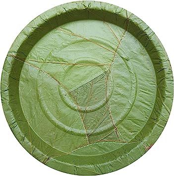 Camping Dinnerware, Gold Plastic Plates, Casual Dinnerware Sets, Plantain Leaves, Casual Dinnerware, Bbq Wedding, Wooden Pattern, Barbecue Party, Leaf Plates