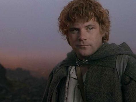 Samwise Gamgee.  In my opinion, always the real hero of the entire thing.  Frodo wouldn't have made it without his faithful companion. Sam Wise Gamgee, Sam Gamgee, The Misty Mountains Cold, Samwise Gamgee, Misty Mountains, Second Breakfast, The Two Towers, The Shire, Fellowship Of The Ring