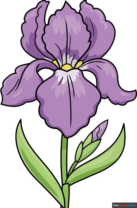 How to Draw an Iris Flower Featured Image Iris Flowers Drawing Easy, Flowers Drawing Easy, Iris Drawing, Spring Drawing, Flower Step By Step, Flower Drawing Tutorials, Easy Drawing Tutorial, Flowers Drawing, Drawing Tutorials For Kids