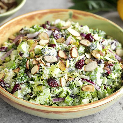 Enjoy this super crunchy and delicious salad. Crisp raw broccoli tossed with Super Superkraut, dried cranberries, almonds, red onion and a zesty creamy dressing. Salad Cranberries, Kimchi Recipes, Sauerkraut Salad, Raw Sauerkraut, Broccoli Stalk, Raw Broccoli, Paleo Salads, Sauerkraut Recipes, Creamy Dressing