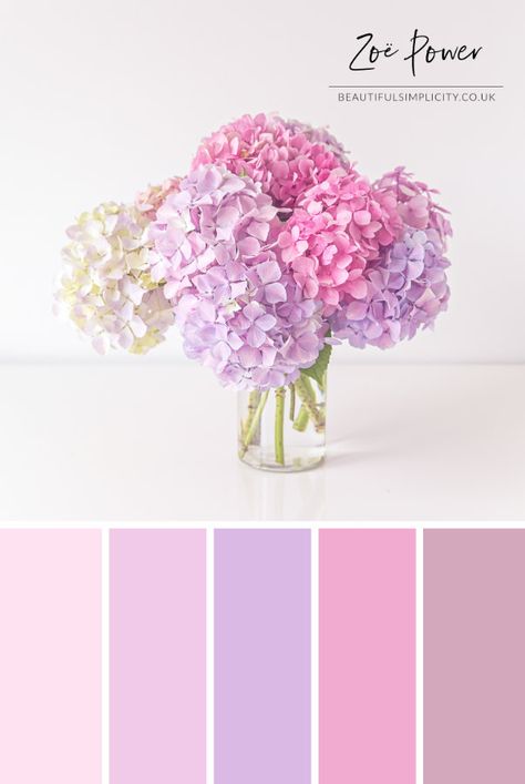 These beautiful Hydrangeas in lots of different pastel shades of pink and purple were the inspiration for this Colour Palette. I just love these pastel lilacs, lavenders, dusky plums and deep pinks together. The perfect wall art for a pastel pink or purple bedroom. Available to buy as a print in a range of formats, as well as greeting cards, postcards, notebooks, stickers, tote bags, coasters and more. #colourpalette #colorpalette #pastel #hydrangeas #pink #purple #flowers Deco Pastel, Hydrangea Colors, Purple Color Palettes, Colour Pallets, Color Schemes Colour Palettes, Color Palette Ideas, Color Palette Pink, Color Pallete, Pastel Colour Palette