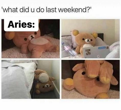 50 Best Aries Memes That Describe This Zodiac Sign | YourTango Pisces Quotes, Astrology Pisces, 17 December, Zodiac Signs Pisces, Pisces Facts, Zodiac Signs Funny, Memes Humor, Me Too Meme, Life Memes