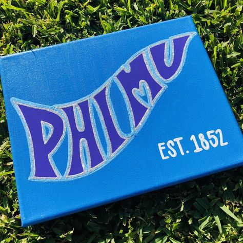 Phi Mu Sorority Canvas, Phi Mu Paintings Canvases, Phi Mu Canvas Painting, Aephi Canvas, Phi Mu Paintings, Theta Painting, Dphie Canvases, Easy Sorority Canvas, Adpi Canvases