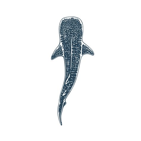 Die cut sticker 2.5" x 2.5" Glossy Blue Whale Shark Tattoo, Whale Shark Clipart, Whale Shark Template, Whale Shark Top View, Whale Shark Line Art, Whale Shark Silhouette, Whale Shark Design, Whale Shark Print, Whale Shark Background