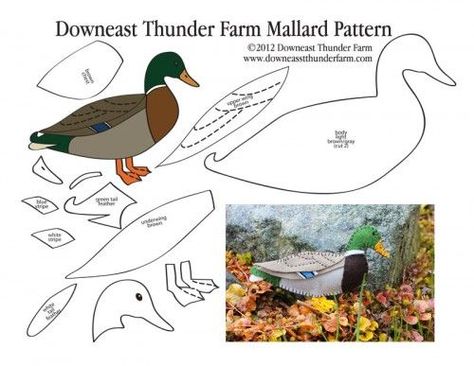 mallard-pattern-pic, Stuffed Animal Pattern, How to Make a Toy Animal Plushie Tutorial , BIRDS Diy Projects, Sewing Template , animals,  toy, sewing, diy , crafts, kawaii, cute, sew, bird,felt,  handmade, ornament, free pdf Ruddy Duck, Felt Birds Ornaments, Bird Template, Duck Pattern, Felt Ornaments Patterns, Sewing Stuffed Animals, Bird Crafts, Mallard Duck, Wool Projects