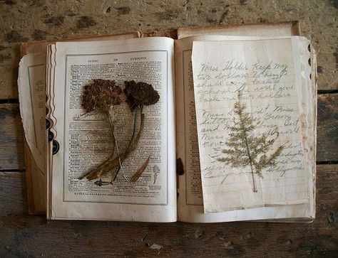 A Simple Guide To Flower Pressing Nature Journal, Open Book, Book Of Shadows, Natural History, Alchemy, Botany, Pressed Flowers, Sake, Dried Flowers