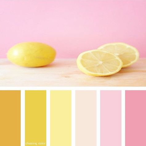 Shades Of Pastel Pink and Lemons (Photo Credit: @mydailypalette) #chasingcolor #colorthemes #colorful #color #palette #colorpalette #shades #tones #hues #colorinspiration #inspiration #creative #art #photography #design #theme #pastel #pink #yellow #gold #lemon #citrus Peach Pink Yellow Color Palette, Yellow Pink Colour Palette, Lemon Yellow Colour Palette, Lemon Yellow Color Combinations, Pastel Yellow Color Combination, Lemon Colour Palette, Lemon Yellow Color Palette, Pink Lemonade Color Palette, Pink Yellow Branding