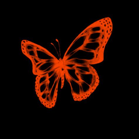 Orange Aesthetic Butterfly, Black And Orange App Icons, Butterfly Black Background, Orange Widget, Orange App Icons, Orange Aesthetic Wallpaper, Orange Wallpapers, Widget Pictures, Phone Widget