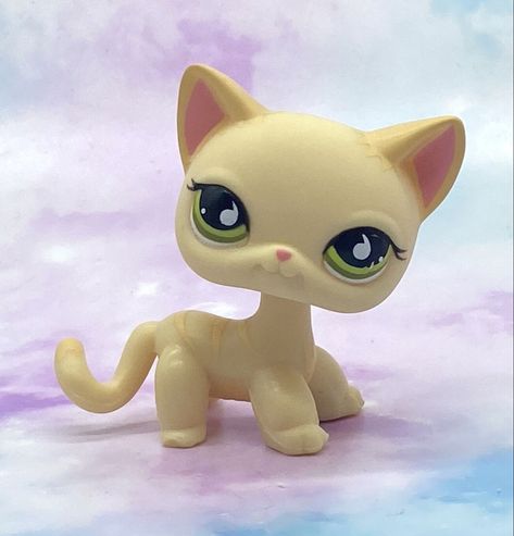 Old Lps, Lps Shorthair, Lps Toys, Lps Pets, Diy Crafts To Do, Littlest Pet Shop, Lps, Box Art, Pet Shop