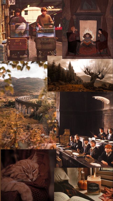 Harry Potter Autumn Wallpaper, Harry Potter Fall Wallpaper, Hermione Motivation, Fall Harry Potter Wallpaper, Harry Potter Autumn Aesthetic, Fall Harry Potter Aesthetic, Emilee Core, Harry Potter Christmas Aesthetic Wallpaper, Harry Potter Books Aesthetic