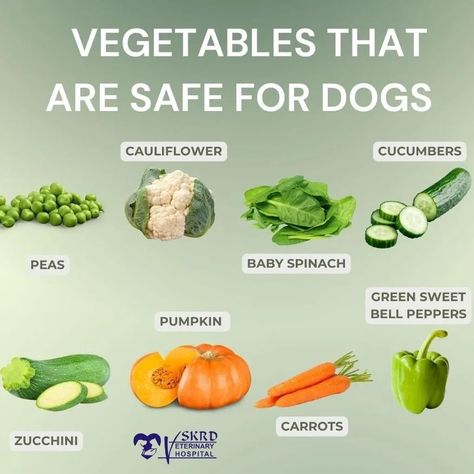 Skrd veterinary hospital #food #DogOwner #PetSafety Hospital Food, Sweet Bell Peppers, Cauliflower Pizza, Dog Nutrition, Veterinary Hospital, Upset Stomach, Nutritious Snacks, Can Dogs Eat, Homemade Dog Food