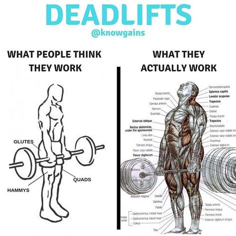 For starters, deadlifts work more muscles simultaneously than any other movement (yes, including squats). The deadlift essentially forces the whole body to grow. There's almost nothing worse than a plateau. We all are training as hard as we can and it sucks to hit the preverbal wall. Well, guess what? It happens, but with this article you can build your way to stop this and still have amazing results! The deadlift is often crowned the king of total-body exercise! Deadlift Variations, Squat Motivation, Musa Fitness, Gym Tips, Fitness Photos, Men's Health Fitness, Whole Body, Mens Health, Weight Training