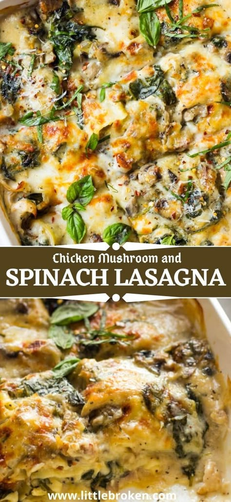 Mushroom And Spinach Lasagna, Chicken Spinach Lasagna, Chicken Mushrooms, Lasagna Noodles, Chicken Mushroom, Chicken Spinach, Chicken Lasagna, Spinach Lasagna, Spinach Stuffed Chicken