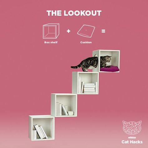 Whiskas Australia hacked a series of fun IKEA hacks for cats. Would your cat love them? The Hammock See how minimalist design can meet maximum feline comfort in just a few simple steps.   1 x VITTSJÖ Hammock Hacks, Ikea Cat, Katt Diy, Diy Chat, Katt Grejer, Kat Diy, Cats Furniture, Cat Hacks, Cat Furniture Diy