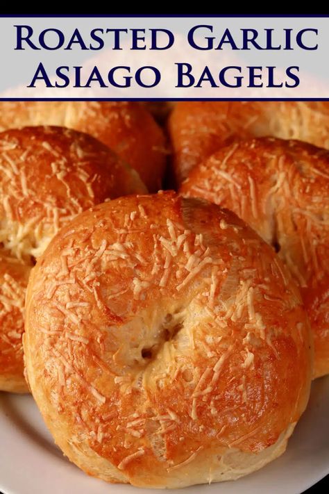 A pile of garlic asiago bagels on a plate. Homemade Asiago Bagels, Asiago Cheese Bagels, Flavored Bagel Recipe, Sweet Bagel Recipe, Asiago Cheese Bagel Recipe, Asiago Bagel Recipe, Yeast Bagels, Bagel Spread Recipes, Asiago Bagels