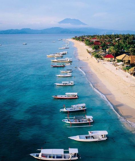 29.3k Likes, 408 Comments - @hannahpolites on Instagram: “Current craving... Endless amounts of coconuts 😍🌴🌰 @chandravillas @thebalibible #7.5 months” Nyepi Day, Lembongan Island, Hindu New Year, Day Of Silence, Bali Holiday, Nusa Lembongan, Bali Holidays, 5 Months, Holiday Photos