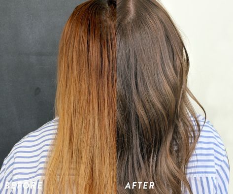 My results will amaze you. Brassy Hair To Ash Brown, Toning Brown Hair, Blonde Hair Dyed Black, Blonde Without Bleach, Dye Black Hair, Toning Bleached Hair, Ash Brown Hair Dye, Bleach Hair Dye, Orange Brown Hair