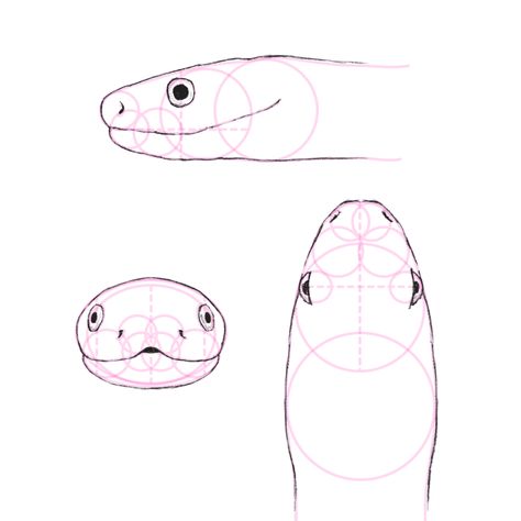 outlining snake face Snake Head Tutorial, Snake Head Illustration, Snake Head Sketch, Snake Face Drawing, How To Draw Snake, Snake Head Reference, Snake Head Drawing, Snake Sketch, Snake Face