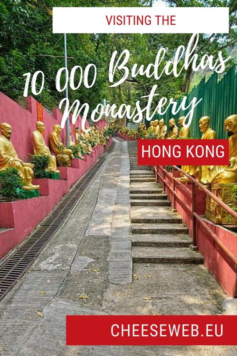 We visit the incredible 10000 Buddhas Monastery in Hong Kong's New Territories. The trip was not without its challenges and we learned a few lessons the hard way. Perth Travel, Hong Kong Travel Guide, China Travel Guide, Travel Secrets, Japan Travel Tips, South Korea Travel, Taiwan Travel, Hong Kong Travel, Travel Plan