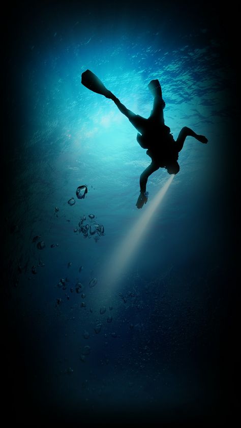 Diving Wallpaper, Iphone Wallpaper Underwater, Water Iphone Wallpaper, Cave Diving, Harley Bikes, Free Diving, Under Water, High Resolution Photos, Sharks