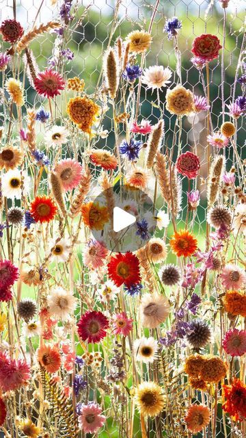 Layla Robinson on Instagram: "I’m VERY happy to be able to say that my online flower panel course is FINALLY HERE, whooooppeee!!!! 🎉✨💗
💗
If you end up trying it, I really hope you like it. 💖 It’s been more than a little labour of love to bring it to fruition. Now enough said for the time being, I’m sure I will be rabbiting in about it plenty enough in times to come. For now I will let you discover it for yourselves, and I will go and have a little sit down, and look forward to actually getting out side and kicking some leaves and going for autumn walks over the weekend. 
Enjoy! And have a lovely weekend yourselves 💗
*
*
*
*
*
*
*
*
*
*
*
*
*
*
#flowerpanels #driedflowers #floraldesign #natureinspired #laylarobinson #teachersofinstagram #workshop #everlastingflowers #interiordecor #ins Layla Robinson, Flower Panel, Flower Panels, Everlasting Flowers, Have A Lovely Weekend, Enough Said, Christmas Stuff, Bring It, Labour