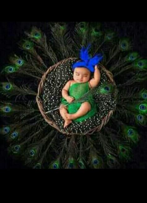 Janmastami Theme Baby Photos, Chathi Decoration, Themed Baby Photoshoot, 1 Month Baby Picture Ideas, Peacock Baby, Baby Photography Poses, Baby Birthday Photoshoot, Monthly Baby Photos