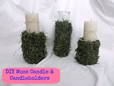 DIY Moss Candle, Candle Holder, and Vase ALL for $2 Moss Wreath Diy, Moss Candle, Dollar Tree Candles, Dollar Store Candles, Diy Moss, Tree Candles, Fresh Tulips, Craft Cupboard, Faux Candles