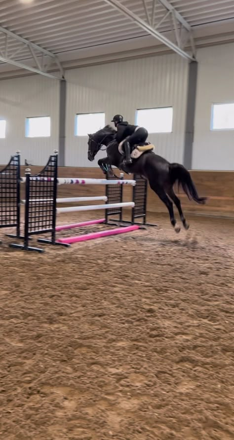 Horse Shows Aesthetic, Equestrian Cross Country, Showjumper Aesthetic, Horse Jumping Aesthetic, Horse Riding Jumping, Show Jumping Aesthetic, Horse Show Aesthetic, Showjumping Aesthetic, Equestrian Wallpaper