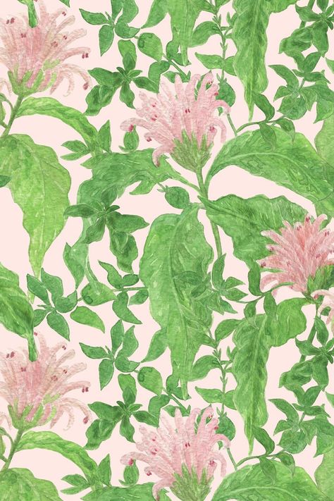 Green Wall Prints Aesthetic, Pink And Green Wall Prints, Light Pink And Green Aesthetic, Pink Green Background, Pink And Green Poster, Pink And Green Painting, Pink And Green Prints, Green And Pink Wall Art, Green And Pink Wallpaper