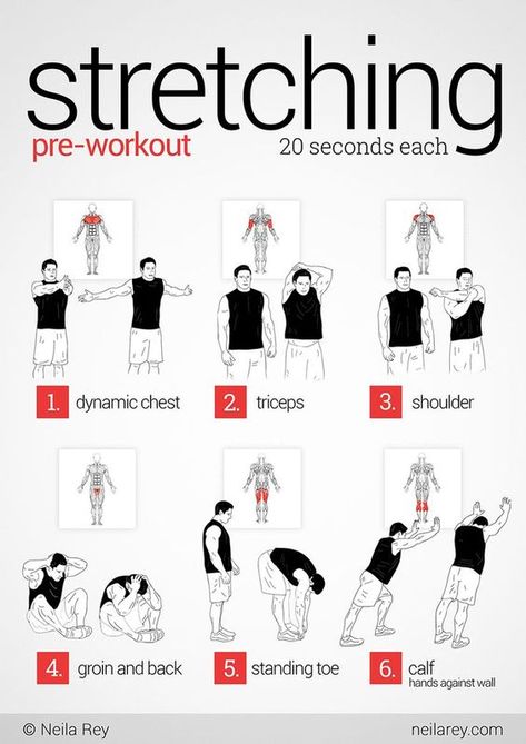 Pre Workout Stretches, Stretches Before Workout, Before Workout, Cardio Pilates, Pilates Workout Plan, Motivasi Diet, Metabolism Diet, Arm Stretches, Bodybuilding Workouts Routines