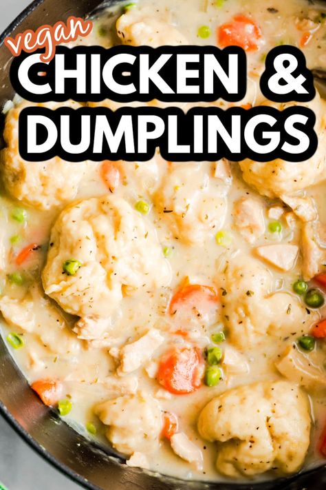 Mrs Happy Homemaker Chicken And Dumplings, Chicken And Dumplings With Biscuits Instapot, The Best Chicken And Dumplings Recipe, Homemade Biscuits For Chicken And Dumplings, Chicken And Dumplings Soup Crockpot, Chicken And Dumpling Stew, Chicken And Dumplings With Pillsbury Biscuits, Light And Fluffy Dumplings Recipe, Crockpot Chicken And Dumplings With Bisquick