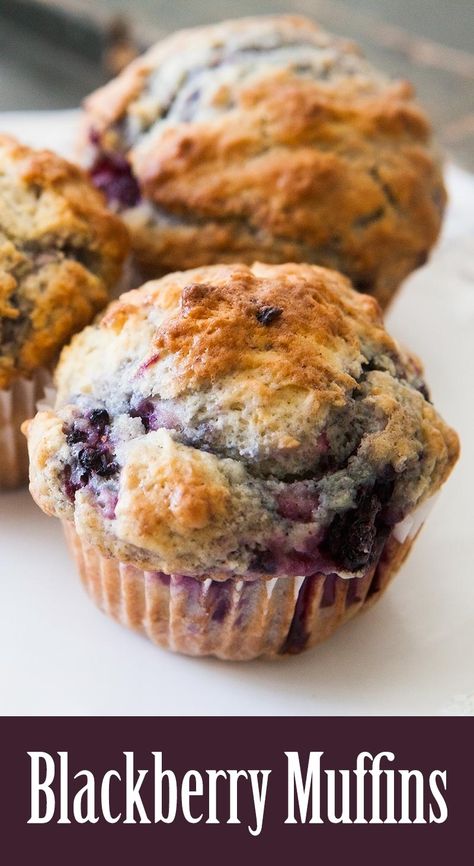 The BEST rich, tender, delicious blackberry muffins! These muffins are a family favorite, filled with juicy berries! #easy On SimplyRecipes.com Blackberry Recipes Easy, Blackberry Dessert Recipes, Blackberry Muffin Recipe, Blackberry Muffins, Blackberry Muffin, Blackberry Dessert, Nutella Recipes Easy, Blackberry Recipes, Berry Muffins