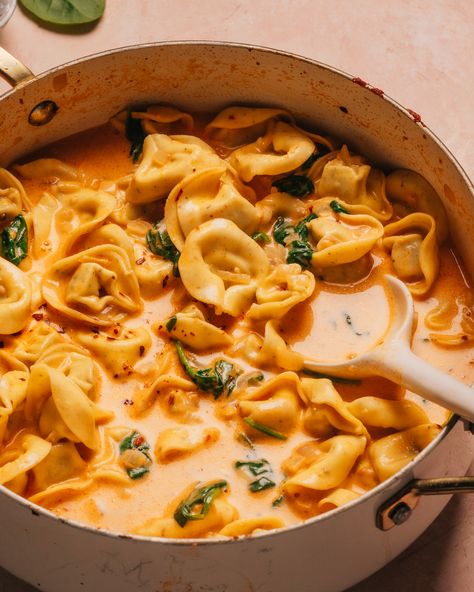 My easy stovetop tortellini soup is the mothership of comforting, cozy flavors. The tender tortellini are perfect in their creamy tomato sauce, brimming with umami-goodness that I can't say no to. Tortellini Soup No Tomato, Creamy Parmesan Tomato Tortellini Soup, Tortellini Creamy Soup, Tortellini Soup With Tomato Soup, Easy Tortilini Soup, Gf Tortellini Soup, Easy Soup Recipes Tortellini, Tortellini Soup Easy Quick, One Pot Creamy Tomato Tortellini Soup