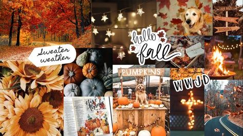 time for fall :) (not my pictures, i created this collage out of ones i found online) Laptop Wallpaper Fall Aesthetic, Fall Phone Theme, Halloween Collage, Computer Backgrounds, Corn Maze, Holiday Wallpaper, Phone Theme, Fall Wallpaper, Laptop Wallpaper