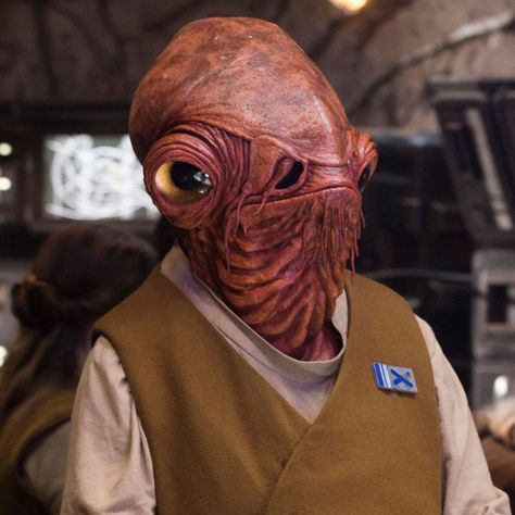 Mon Calamari, Star Wars History, Star Wars Species, Admiral Ackbar, Lucas Arts, Star Wars Canon, Star Wars Vehicles, Alien Character, Star Wars Love