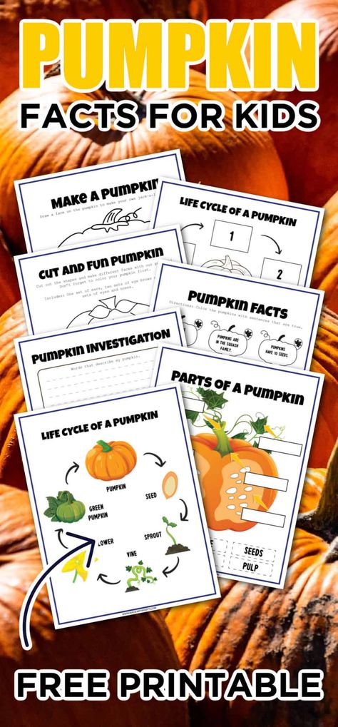 Pumpkin activities are a fun way to keep kids engaged this Fall. Here, you can learn about the pumpkin facts for kids, life cycles and more. November Crafts For Kids, Pumpkin Facts, Apple Facts, Parts Of A Pumpkin, Pumpkin Life Cycle, September Crafts, Pumpkin Family, November Crafts, Pumpkin Activities