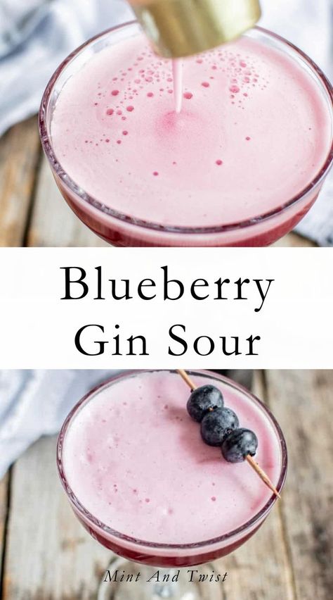 This blueberry gin sour cocktail is flavored with homemade blueberry syrup and fresh lemon. It's tangy and fresh on your taste buds, the perfect fancy cocktail for summer. This blueberry cocktail version brings extra flavor and color to a classic drink. It uses homemade blueberry simple syrup. Gin Sour Recipe, Vodka Sour Recipe, Homemade Blueberry Syrup, Blueberry Simple Syrup, Blueberry Cocktail, Blueberry Gin, Vodka Sour, Simple Syrup Cocktails, Blueberry Vodka