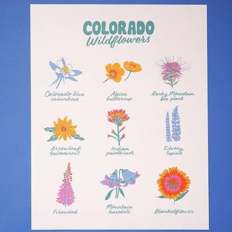 Colorado Wildflowers, Wildflower Drawing, Guerrilla Gardening, Beagle Art, Wildflower Tattoo, Doodle Books, Indian Paintbrush, Bakery Logo, Hat Ideas