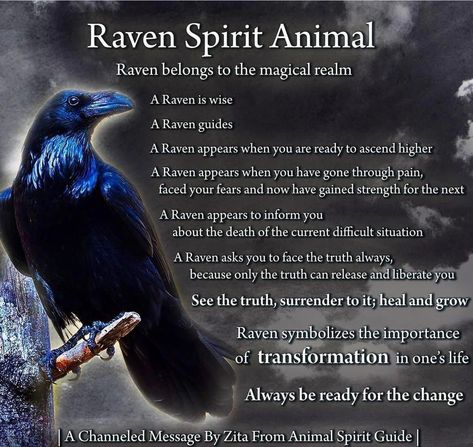 Pagan Tattoos, Crow Facts, Raven Animal, Raven Spirit Animal, Crow Spirit Animal, Animal Totem Spirit Guides, Raven Totem, Spirit Animal Meaning, Animal Meanings