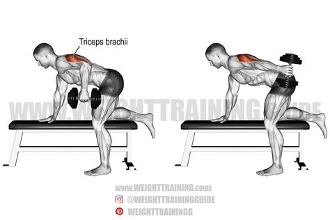 Best Arm Exercises, One Arm Dumbbell Row, Weight Training Women, Dumbbell Fly, Tricep Pushdown, Assisted Pull Ups, Tricep Kickback, Dumbbell Curls, Dumbbell Press