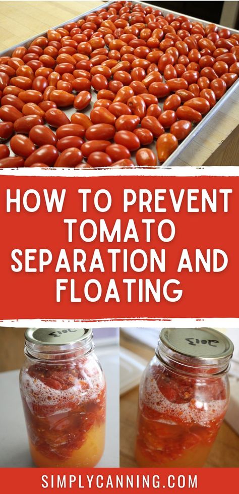 Tomato canning gone wrong? Discover common issues and practical solutions at #SimplyCanning. Ensure your tomatoes stay perfectly preserved! 🍅🫙 #Tomatoes #Canning https://www.simplycanning.com/tomato-canning/ Oven Canning Tomatoes, Tomato Canning Recipes, Canning Homemade Salsa, Tomato Canning, Canning Tomatoes Recipes, Yogurt Bread, Pressure Canning Recipes, Food Tutorials, Canning Crushed Tomatoes