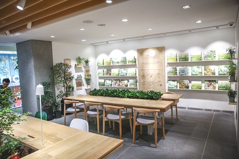 Innisfree Café - Korean Beauty Café With Lee Min Ho VR Experience, At Myeongdong Seoul - DanielFoodDiary.com Korean Study Cafe Interior, Korean Office Interior, Scandi Office, Myeongdong Seoul, Office Canteen, Korean Office, Green Cafe, Study Cafe, Restroom Design