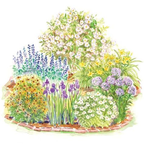 Enjoy beautiful scented roses, cheery daisies, and easy-care daylilies in a 6-by-6-foot spot in your yard with this small garden design: http://www.bhg.com/gardening/plans/by-size/small-garden-plans/?socsrc=bhgpin041914romanticsmallgarden&page=5 Small Garden Plans, Small Water Gardens, Small Flower Gardens, Flower Garden Plans, Garden Plan, Corner Garden, Garden Shrubs, Front Yard Garden, Romantic Garden