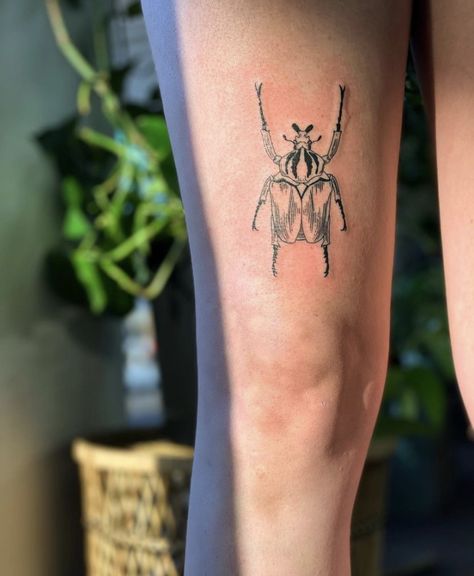 Goliath Beetle Tattoo, Tiny Beetle Tattoo, Beetle Knee Tattoo, Beatle Tattoo On Knee, Beetle Tattoo Leg, Beetle Arm Tattoo, Figeater Beetle Tattoo, Goliath Beetle, Beetle Tattoo