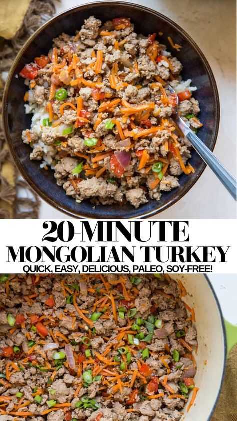 20-Minute Mongolian Turkey - The Roasted Root Mongolian Turkey, Fodmap Recipes Dinner, Low Fodmap Recipes Dinner, Ground Turkey Recipes Healthy, Healthy Ground Turkey, Healthy Dinner Recipe, Low Fodmap Diet, Dandelion Recipes, Ground Turkey Recipes