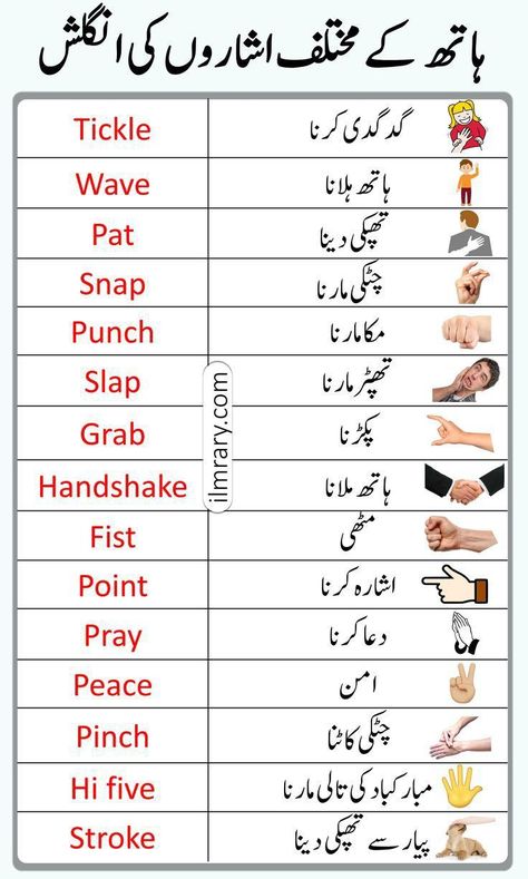 English Reading Skills, Urdu Vocabulary, Words Meaning, Simple English Sentences, Vocabulary In English, Basic English Sentences, English Phrases Sentences, English Word Book, Phrases And Sentences